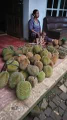 duren_3